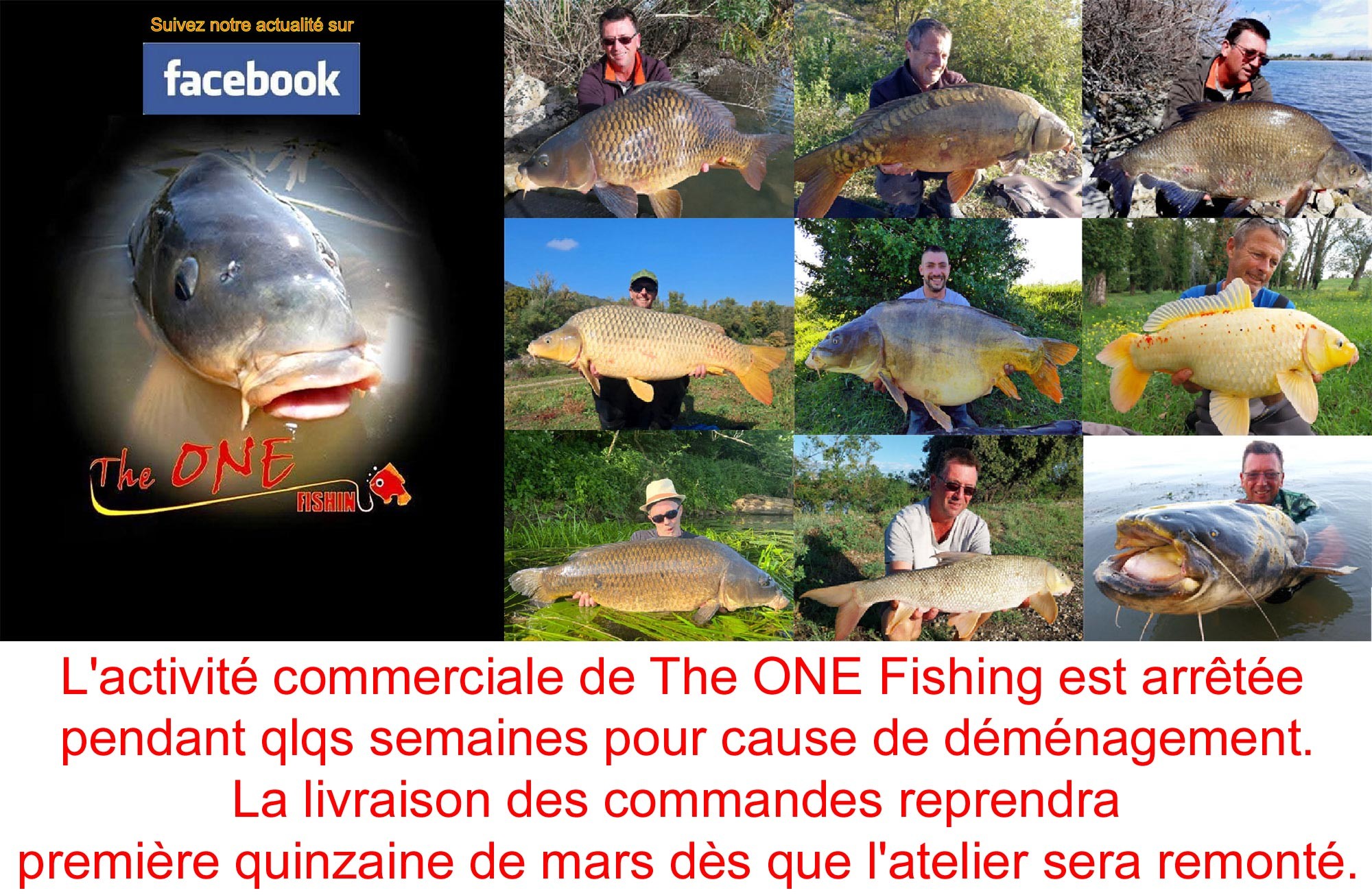 Suivez toute l'actualit&eacute; The ONE Fishing !